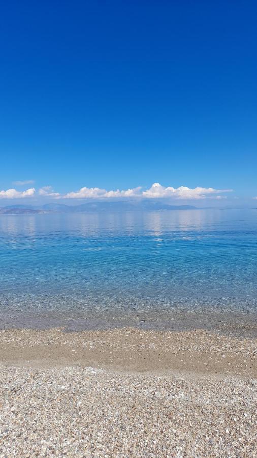 Akrata Rose Garden Apartments I Paralia Akratas エクステリア 写真